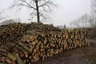 Drewno kominkowe Sezonowane - 3