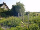 Działka Korzystno gm. Kołobrzeg - 700 m - 1