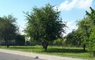 Dom na sprzedaż - 2