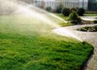 Automatyczne systemy nawadniania/ zakładanie trawników - 5