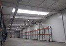 Hala/Magazyn, 4 000 m², Lublin - 6