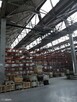 Hala - MAGAZYN - produkcja. 3648 m2 - SZCZECIN - 4