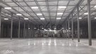 TORUN 3200 m2 - Wynajme Hala Magazyn - 1