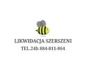 usuwanie likwidacja zwalczanie gniazd roi szerszeni Bielsko - 1