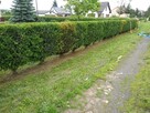 Usługi ogrodnicze - 3