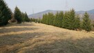Diałka budowlana w górach w Sucha Beskidzka - 12