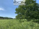 Sprzedaż działka budowlano-usługowa Gorzów - 1