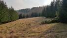 Diałka budowlana w górach w Sucha Beskidzka - 13