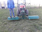 Belka herbicydowa - 8