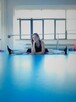 Viktori Studio zaprasza serdecznie na zajęcia sportowe i mas - 2