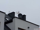 Montaż anten satelitarnych i naziemnych Aleksandrów Kujawski - 16