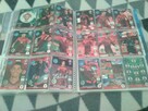 Karty piłkarskie euro 2016 - 15