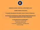 mobilny catering przyczepa handlowa gastronomiczna food truc - 12