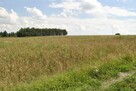 Dom Szerzyny - 7