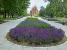 Dom 237m Mieszkalno Usługowy w Centrum Miasta Starogard Gd - 10