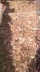 Trociny z dmuchawy sprzedam - 7