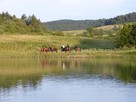 Ropuszy Dwór - Bieszczady Żerdenka - Noclegi, Konie - Jazdy - 7