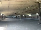 2 hale magazynowo- produkcyjne w Czapurach 1600 m2 - 2