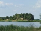 działki rekreacyjne - 8