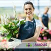 Praca za granicą - BONUS 150 € - Holandia od zaraz!
