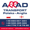 Polska - Anglia - 2