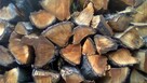 drewno kominkowe - 1