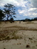 Działka Sasino - 5