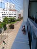 Montaż siatki na balkon dla kota przeciw ptakóm na gołębie - 11