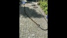 UDRAŻNIANIE Wuko jesteśmy dobrzy w te klocki787342182 - 8
