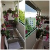 Mieszkanie Ciechocinek 3 pokoje - 61m + balkon i piwnica - 4