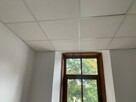 wynajme lokal mieszk lub uzytko w centr. Bochni ul gołebia 1 - 12
