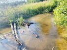 Dom na dużej pięknej działce przy lesie