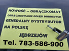 Obraczkomat obraczkowanie gołębi dorosłych - 3