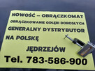 Obraczkomat obraczkowanie gołębi dorosłych - 3