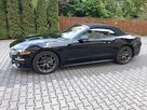 Mustang Kabriolet czarny, śliczny 300 KM - 3