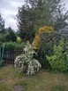 Sprzedam działkę Rod w Pułtusku nad Narwią - 13