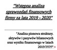 Wstępna analiza sprawozdań finansowych firmy ProjektStudia - 1