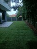 Kompleksowe zakładanie ogrodów, trawników - 2