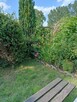 Sprzedam działkę ROD - 3