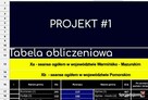 Podstawy statystyki - Praca zaliczeniowa Excel. Studia - 4