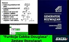 Funkcja Cobba-Douglasa - Rozwiązanie zadania Excel. Studia - 1