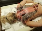 Fizjoterapeuta, rehabilitant, masażysta, - 2