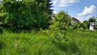 Nadbużańskie Siedlisko - 5