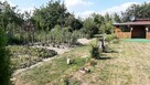 Sprzedam ogródek działkowy - 6