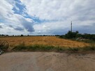 Na sprzedaż działki rolne w miejscowości Skurpie zabudowane - 6