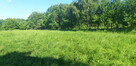 Sprzedam działkę rolną - 6