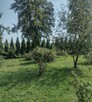 Sprzedam dom, siedlisko, gospodarstwo rolne 7 ha - 1