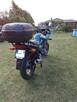YAMAHA XJ600S Diversion - 4