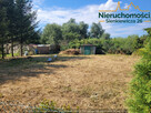 Sprzedam działkę ROD TANIO! NOWA NIŻSZA CENA! - 2