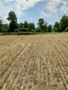 Działka budowlana Wilanowo pomorskie kartuski Przodkowo - 2